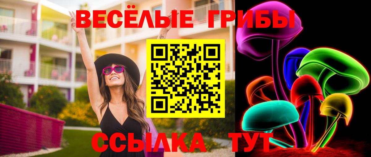 Галлюциногенные грибы Cubensis Аксай